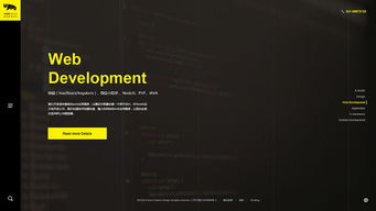上海犀躍設(shè)計公司品牌形象網(wǎng)站建設(shè)